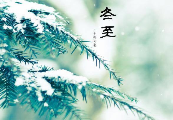 1514257457624758.jpg timg (8).jpg